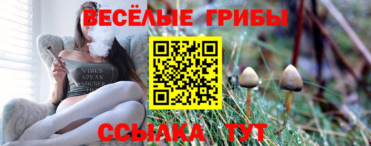 Галлюциногенные грибы GOLDEN TEACHER Дмитров